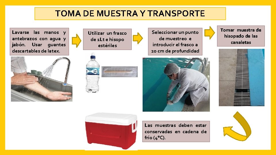 TOMA DE MUESTRA Y TRANSPORTE Lavarse las manos y antebrazos con agua y jabón.
