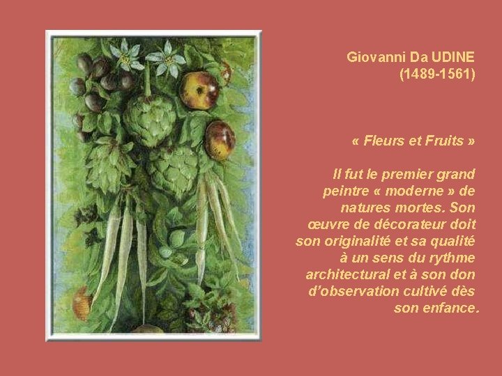 Giovanni Da UDINE (1489 -1561) « Fleurs et Fruits » Il fut le premier