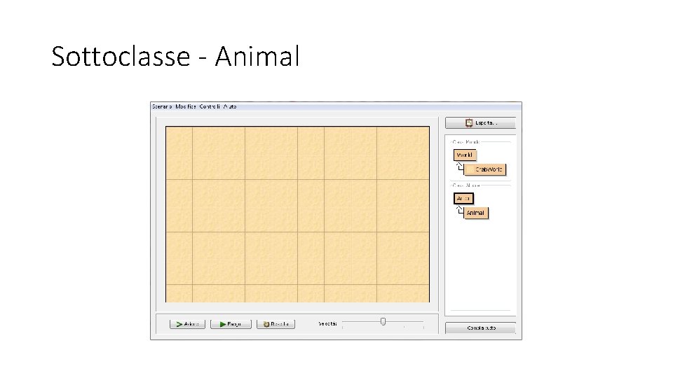 Sottoclasse - Animal 