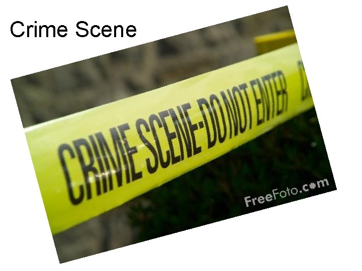 Crime Scene 