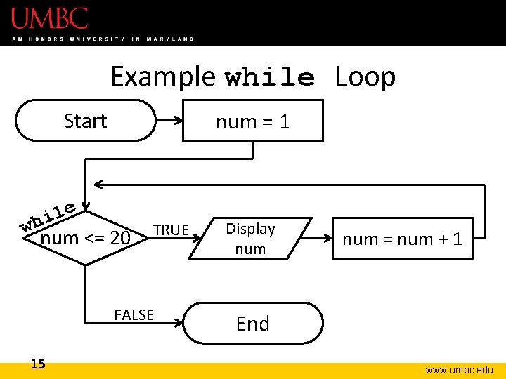 Example while Loop Start e l i wh num = 1 num <= 20