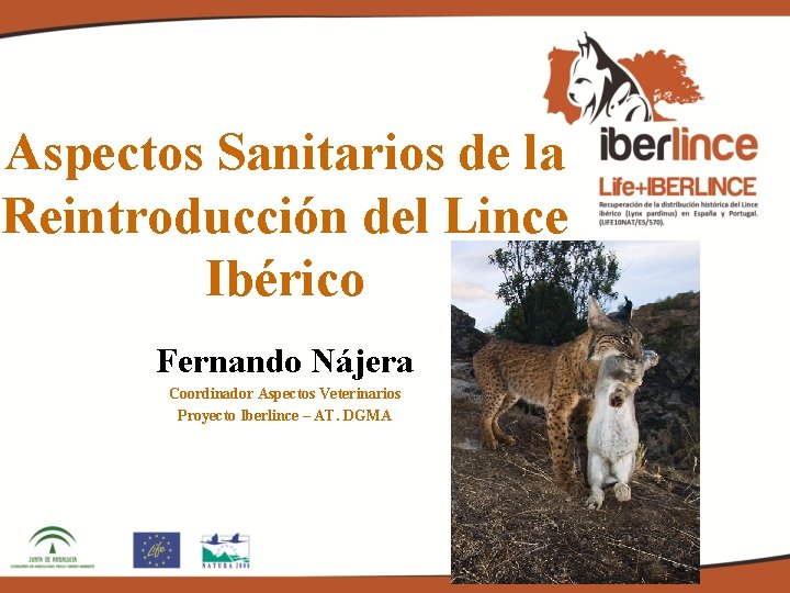 Aspectos Sanitarios de la Reintroducción del Lince Ibérico Fernando Nájera Coordinador Aspectos Veterinarios Proyecto