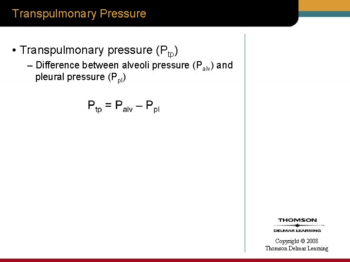 Transpulmonary Pressure • Transpulmonary pressure (Ptp) – Difference between alveoli pressure (Palv) and pleural