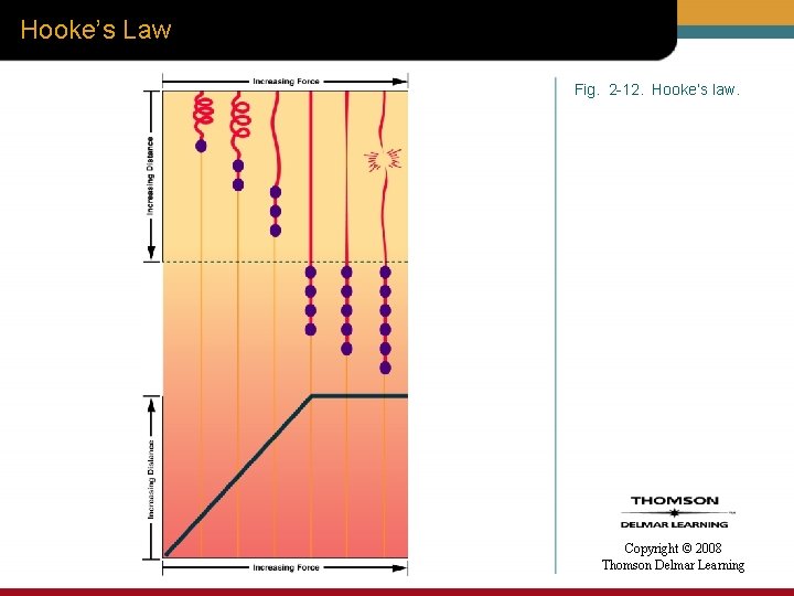 Hooke’s Law Fig. 2 -12. Hooke’s law. Copyright © 2008 Thomson Delmar Learning 