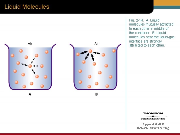 Liquid Molecules Fig. 2 -14. A. Liquid molecules mutually attracted to each other in