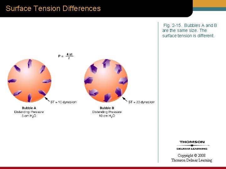 Surface Tension Differences Fig. 2 -15. Bubbles A and B are the same size.