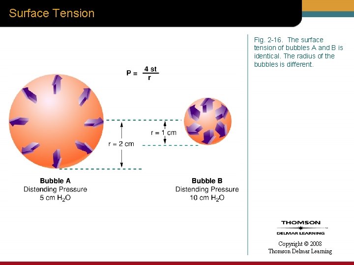 Surface Tension Fig. 2 -16. The surface tension of bubbles A and B is