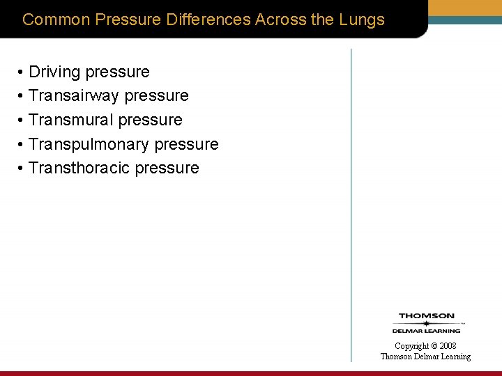 Common Pressure Differences Across the Lungs • Driving pressure • Transairway pressure • Transmural