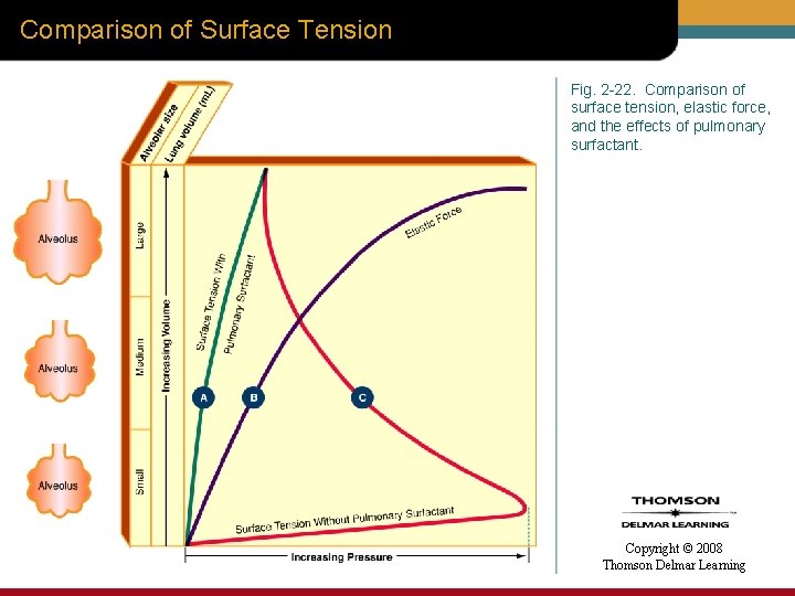 Comparison of Surface Tension Fig. 2 -22. Comparison of surface tension, elastic force, and