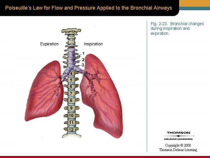 Poiseuille’s Law for Flow and Pressure Applied to the Bronchial Airways Fig. 2 -23.