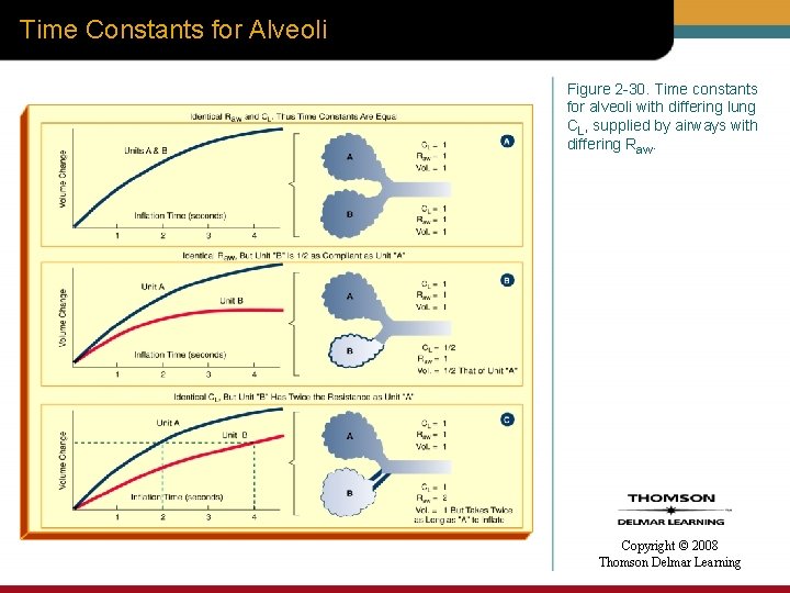 Time Constants for Alveoli Figure 2 -30. Time constants for alveoli with differing lung