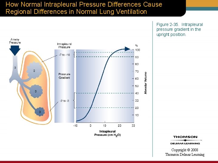 How Normal Intrapleural Pressure Differences Cause Regional Differences in Normal Lung Ventilation Figure 2