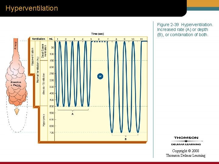 Hyperventilation Figure 2 -39 Hyperventilation. Increased rate (A) or depth (B), or combination of