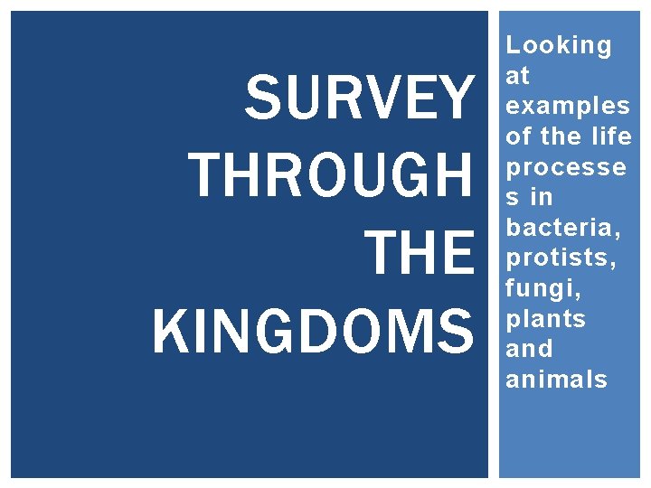 SURVEY THROUGH THE KINGDOMS Looking at examples of the life processe s in bacteria,