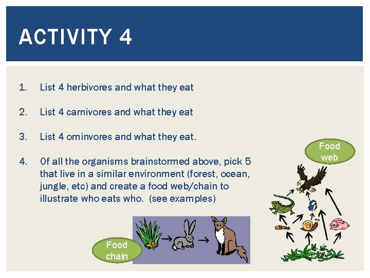 ACTIVITY 4 1. List 4 herbivores and what they eat 2. List 4 carnivores