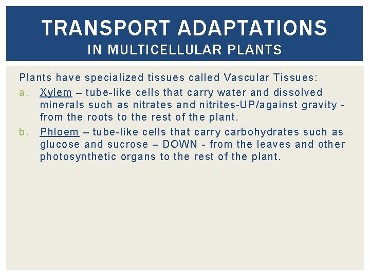 TRANSPORT ADAPTATIONS IN MULTICELLULAR PLANTS Plants have specialized tissues called Vascular Tissues: a. Xylem