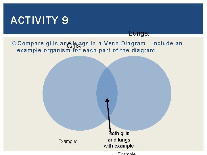 ACTIVITY 9 Lungs: Compare gills and lungs in a Venn Diagram. Include an Gills: