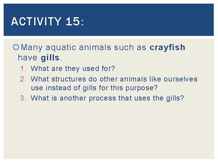 ACTIVITY 15: Many aquatic animals such as crayfish have gills. 1. What are they