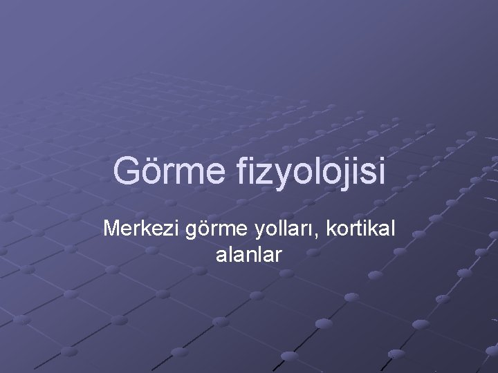 Görme fizyolojisi Merkezi görme yolları, kortikal alanlar 