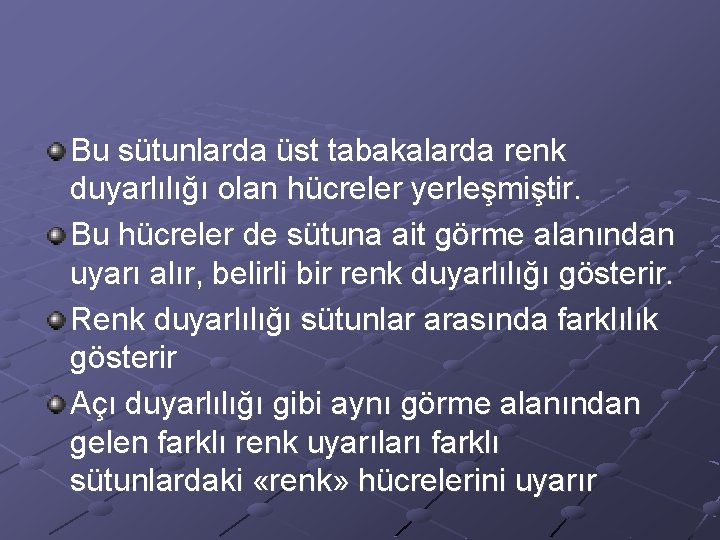 Bu sütunlarda üst tabakalarda renk duyarlılığı olan hücreler yerleşmiştir. Bu hücreler de sütuna ait