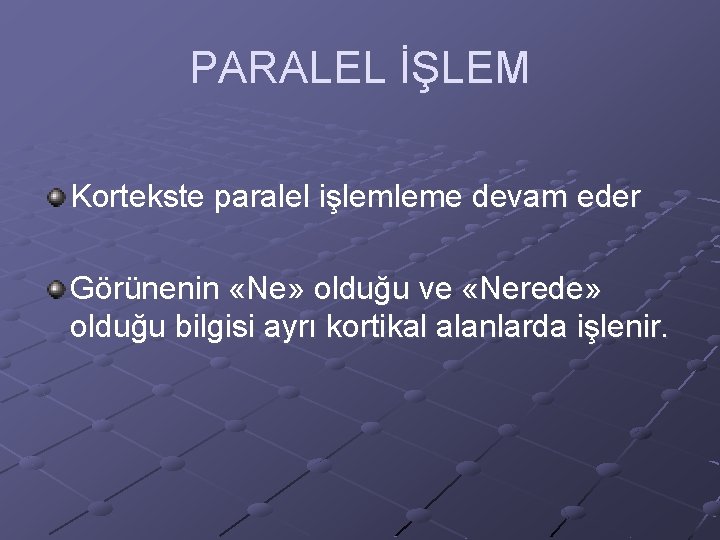 PARALEL İŞLEM Kortekste paralel işlemleme devam eder Görünenin «Ne» olduğu ve «Nerede» olduğu bilgisi