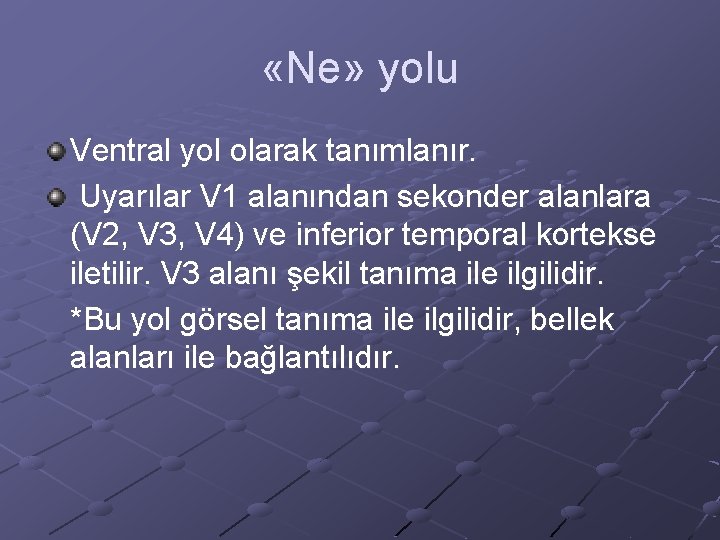  «Ne» yolu Ventral yol olarak tanımlanır. Uyarılar V 1 alanından sekonder alanlara (V