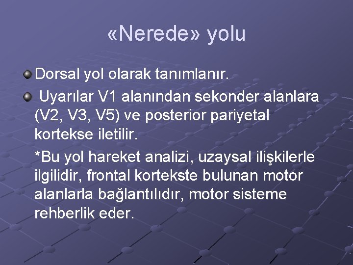 «Nerede» yolu Dorsal yol olarak tanımlanır. Uyarılar V 1 alanından sekonder alanlara (V «Nerede» yolu Dorsal yol olarak tanımlanır. Uyarılar V 1 alanından sekonder alanlara (V