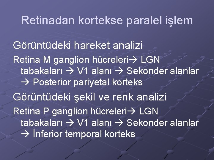 Retinadan kortekse paralel işlem Görüntüdeki hareket analizi Retina M ganglion hücreleri LGN tabakaları V