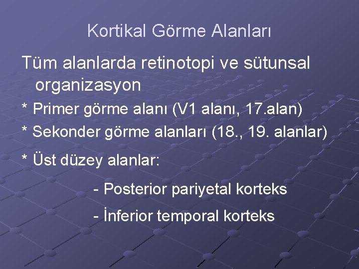 Kortikal Görme Alanları Tüm alanlarda retinotopi ve sütunsal organizasyon * Primer görme alanı (V