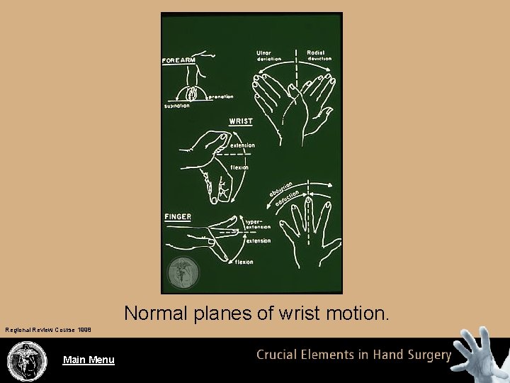 Normal planes of wrist motion. Regional Review Course 1998 Main Menu 