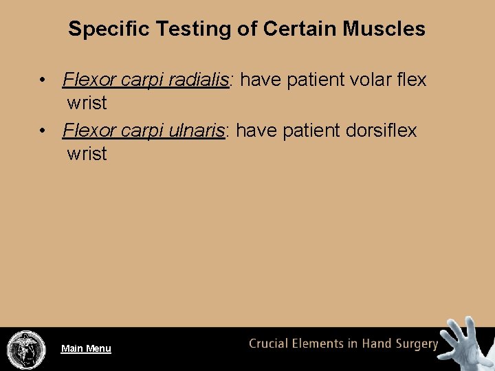 Specific Testing of Certain Muscles • Flexor carpi radialis: have patient volar flex wrist