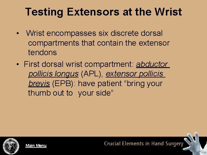 Testing Extensors at the Wrist • Wrist encompasses six discrete dorsal compartments that contain