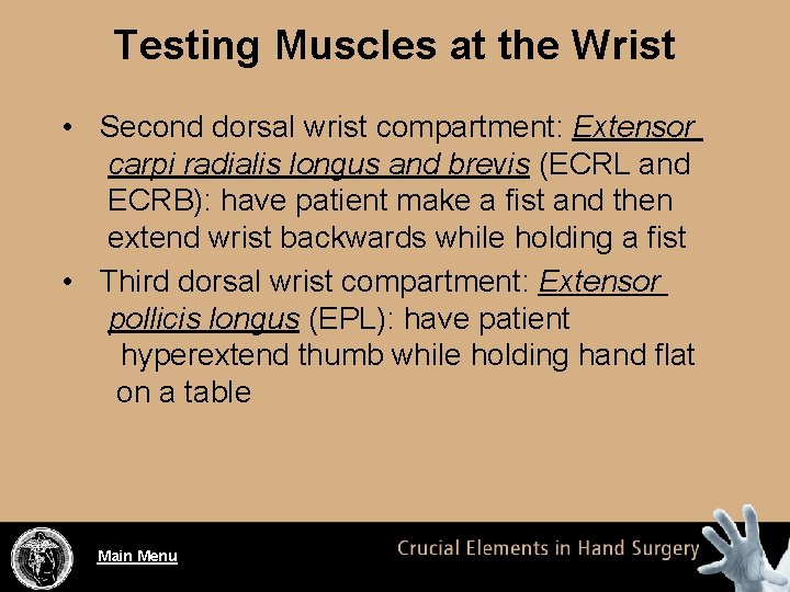 Testing Muscles at the Wrist • Second dorsal wrist compartment: Extensor carpi radialis longus