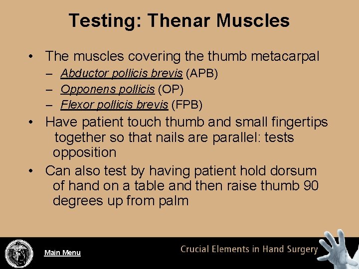 Testing: Thenar Muscles • The muscles covering the thumb metacarpal – Abductor pollicis brevis