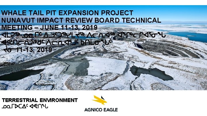 WHALE TAIL PIT EXPANSION PROJECT NUNAVUT IMPACT REVIEW BOARD TECHNICAL MEETING – JUNE 11