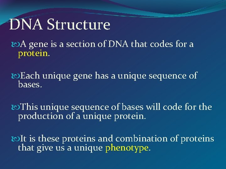 DNA Structure A gene is a section of DNA that codes for a protein.