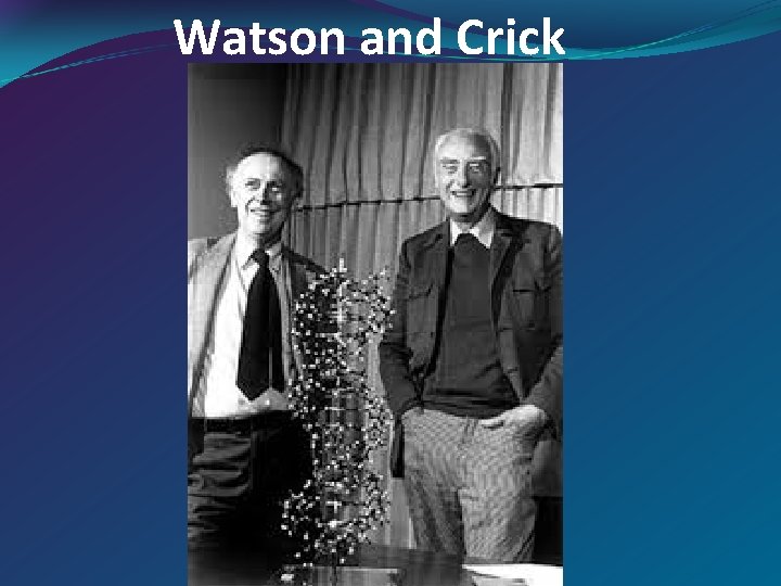 Watson and Crick 