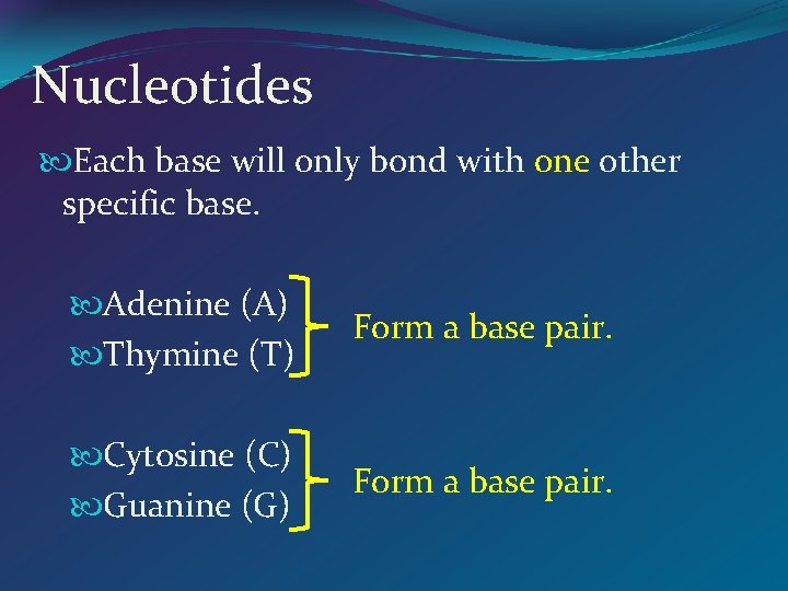 Nucleotides Each base will only bond with one other specific base. Adenine (A) Thymine