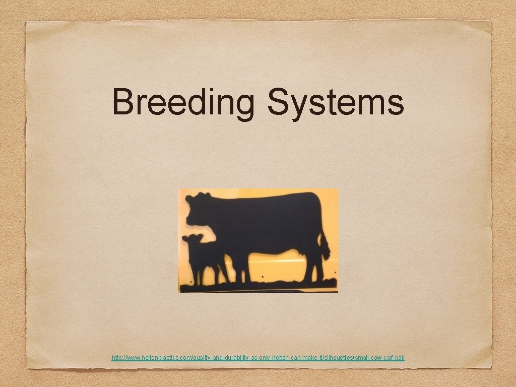 Breeding Systems http: //www. heltonplastics. com/quality-and-durability-as-only-helton-can-make-it/silhouettes/small-cow-calf-pair 