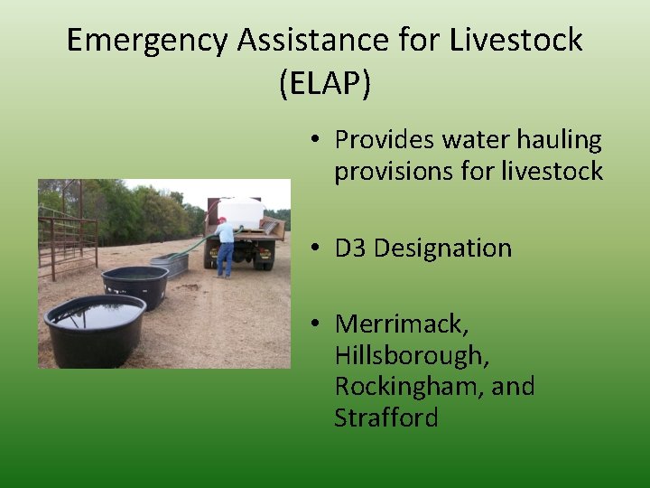 Emergency Assistance for Livestock (ELAP) • Provides water hauling provisions for livestock • D
