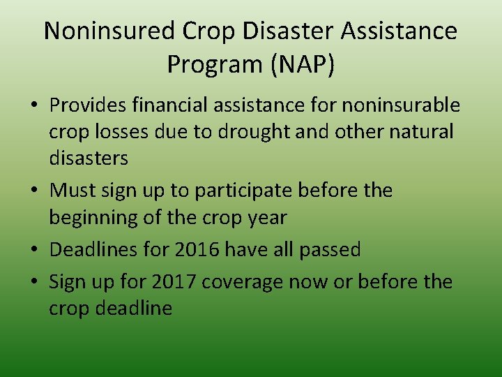 Noninsured Crop Disaster Assistance Program (NAP) • Provides financial assistance for noninsurable crop losses