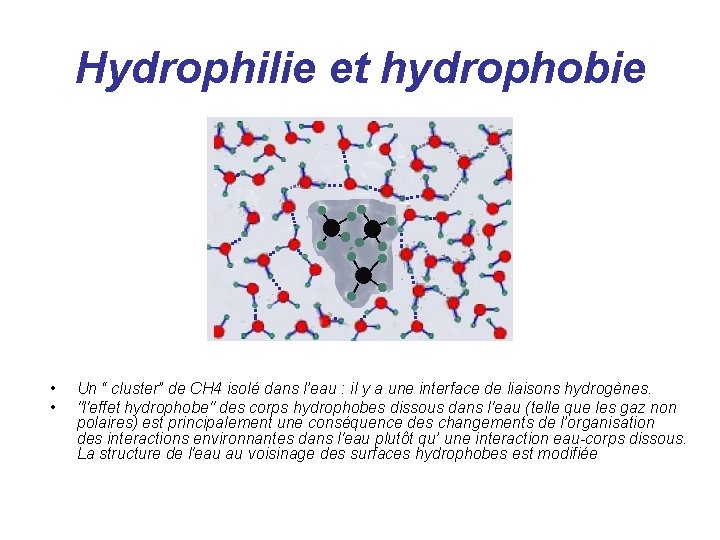 Hydrophilie et hydrophobie • • Un “ cluster” de CH 4 isolé dans l’eau