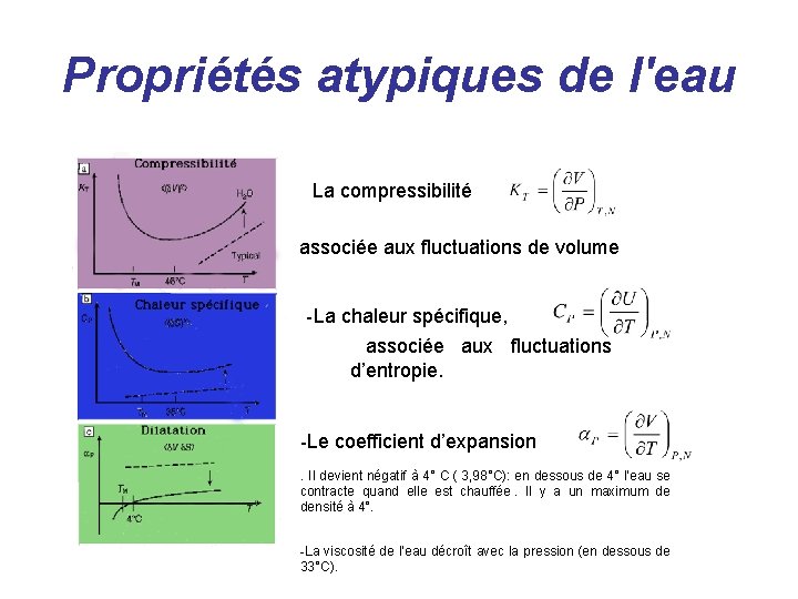 Propriétés atypiques de l'eau La compressibilité associée aux fluctuations de volume -La chaleur spécifique,