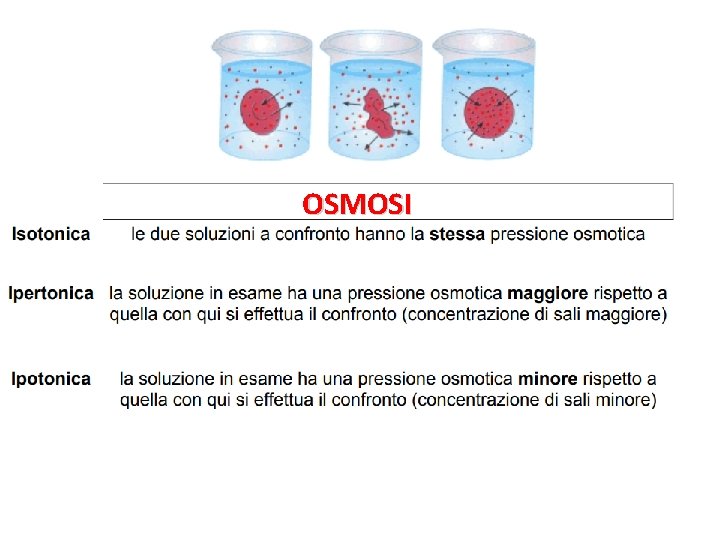 OSMOSI 