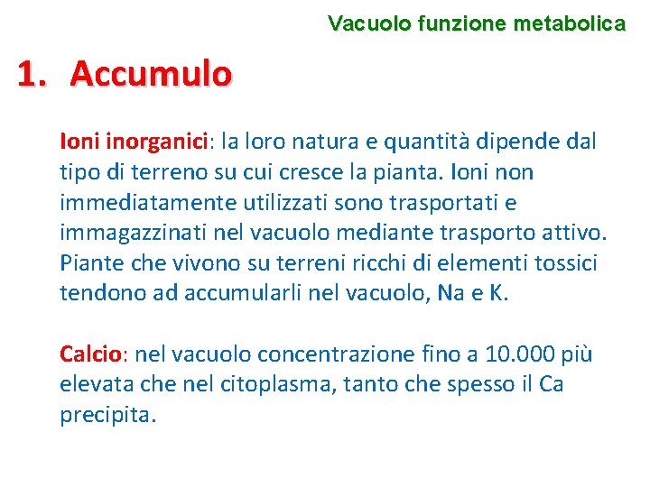 Vacuolo funzione metabolica 1. Accumulo Ioni inorganici: la loro natura e quantità dipende dal