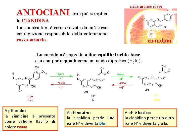 ANTOCIANI: fra i più semplici nelle arance rosse la CIANIDINA La sua struttura è
