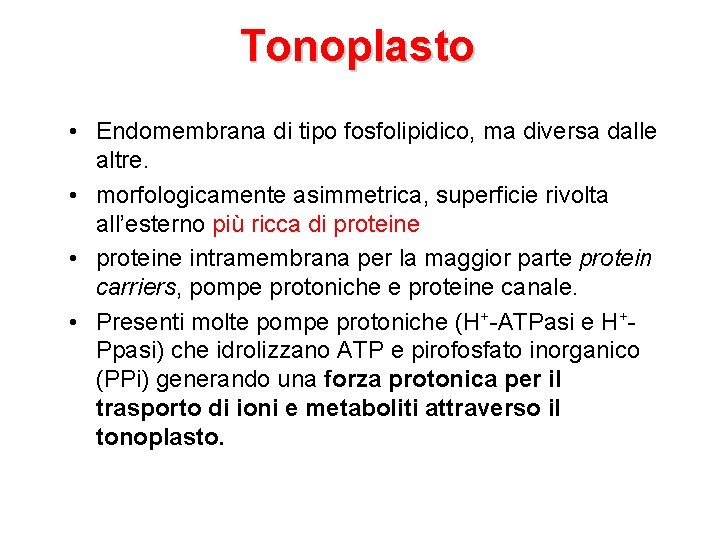 Tonoplasto • Endomembrana di tipo fosfolipidico, ma diversa dalle altre. • morfologicamente asimmetrica, superficie