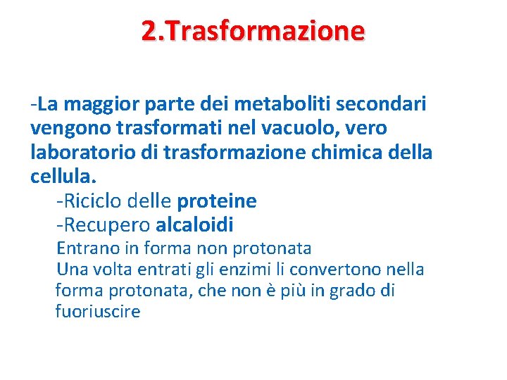 2. Trasformazione -La maggior parte dei metaboliti secondari vengono trasformati nel vacuolo, vero laboratorio