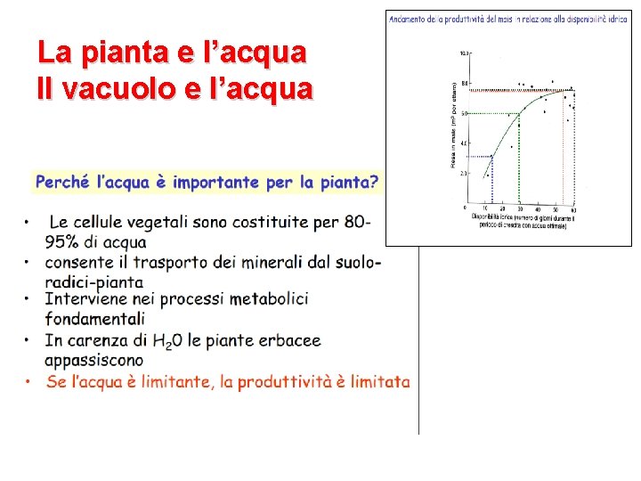 La pianta e l’acqua Il vacuolo e l’acqua 