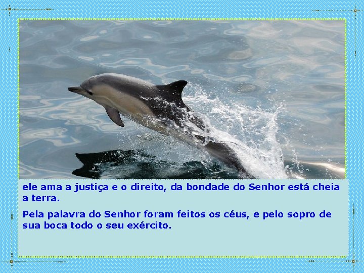 ele ama a justiça e o direito, da bondade do Senhor está cheia a